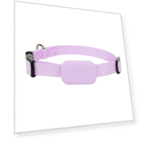 Mini GPS Tracker Dog Collar — Trackers, Chic Home