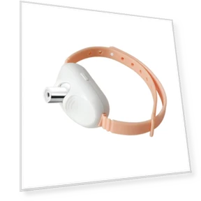 Smart Laser Collar for Cats — Cat Playthings, grocercollect