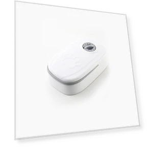 Smart Timer Pet Feeder Bowl — Feeders, L.RIDING PULO