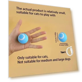Interactive Pet Toy Ball — Cat Playthings, JINGYUE Pet