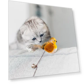 Squeaky Bird Cat Toy — Cat Playthings, Love DIY