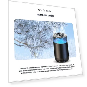 Aromatherapy Machine with Atmospheric Light — Diffusers, Challenge