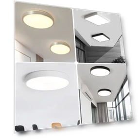 Ceiling Light with Voice Sensor — Smart Home Modules, WoW Home