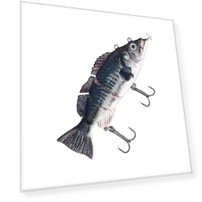 Robotic Electric Fishing Lure — Artificial Bait, Fishine