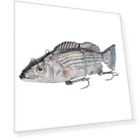 Robotic Floating Fishing Lure — Artificial Bait, Fishine