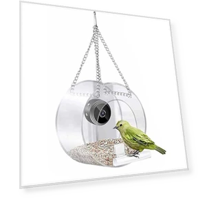 Smart Bird House Feeder with Camera — Backyard Birding, Pig Boutique