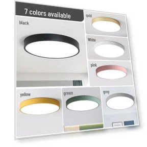 Smart LED Ceiling Light — Overhead Lighting, WoW Home