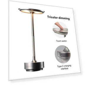 Wireless LED Desk Lamp with Charging — Study & Desk Lighting, DC-HOME Textile
