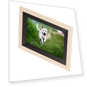 10.1-inch Digital Photo Frame — Digital Frames, Honor Electronics