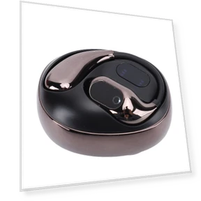 Bluetooth Translator Earbuds — Language Translators, DIYelecs