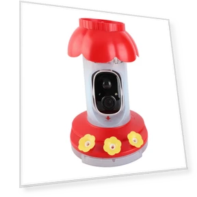 Smart Bird Feeder — Backyard Birding, OutsideWorld