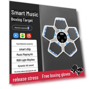 Smart Music Boxing Wall Target — Boxing Training Gear, Apex Gear
