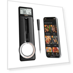 Wireless WiFi Meat Thermometer — Thermometers, INKBIRD