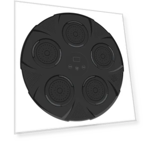 Bluetooth Music Boxing Wall Trainer — Home Gyms, TopSky