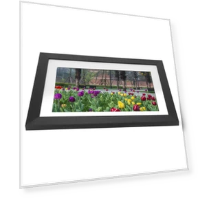 Digital Photo Frame — Digital Frames, Honor Electronics
