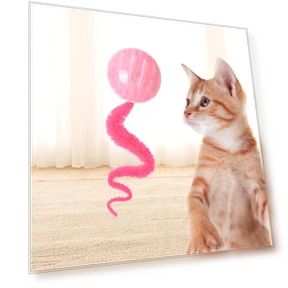 Electric Rolling Ball Toy for Cats — Cat Playthings, Pet Products My
