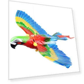 Electric Simulation Fake Parrot Toy — Interactive Animal Companions, Picture Hung