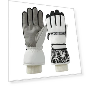 Extreme Cold Smartphone Gloves — Gloves & Mittens, JAPAN SPORTS