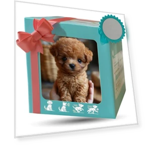 Plush Robot Dog with Wagging Tail — Interactive, Lianchuang