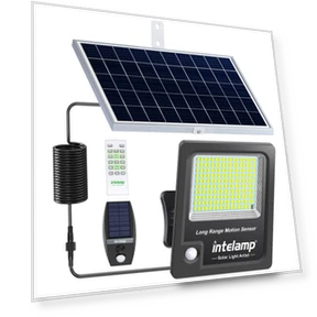 Solar Light with Motion Sensor — Outdoor Security & Flood Lighting, Intelamp