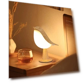 Touch Control LED Night Light with Adjustable Brightness — Night Lights, Binchi Health Electronics