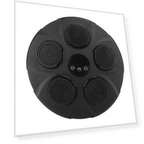 Bluetooth Smart Boxing Trainer — Boxing Training Gear, Fishine