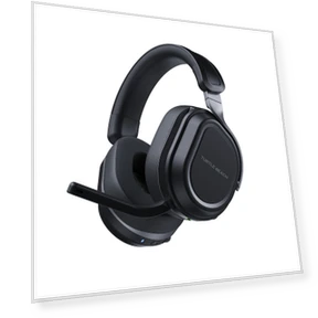 Gaming Headset with Dual Wireless Connectivity — Headsets, Turtle Beach