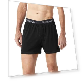 Merino Wool Boxer Briefs — Underwear, Smartwool