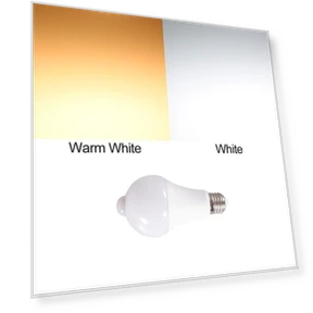 Motion Sensor LED Bulb — LED, YuTao