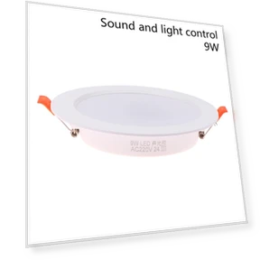 Motion Sensor Spot LED Downlight — Garden Illumination, Comfortable Housy