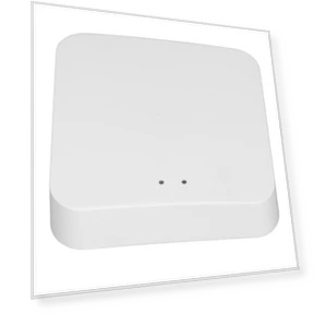 Smart Home Bridge Gateway — Smart Home Hubs & Controllers, OutsideWorld