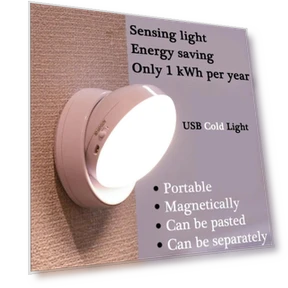 USB Charging Motion Sensor Night Light — Night Lights, DC-HOME