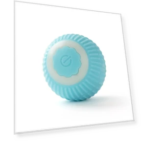 Automatic Rolling Pet Toy — Cat Playthings, Family Circle