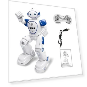 Programmable Robot with Remote Control — Interactive Figures & Robots, RMT House