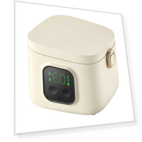 Smart Bowl with Constant Temperature — Lunch Boxes, Holland Pia