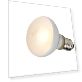 Heating Lamp for Reptiles — Heat Lamps, APlusVigor