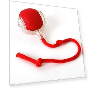 Interactive Ball Toy for Cats — Cat Playthings, Pansyf