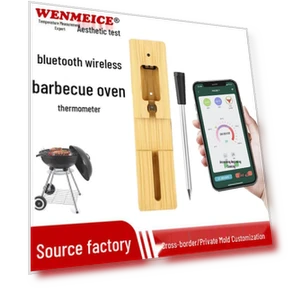 Outdoor Smart Wireless Digital Meat Thermometer — Grill Thermometers, Value Vault