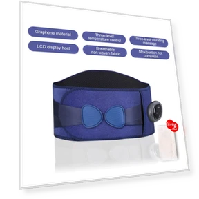 Smart Wireless Heating Belt — Thermal Therapy Solutions, BC Pet Supplies