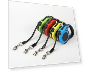 Automatic Retractable Leash — Training Leads, AI Supermarket