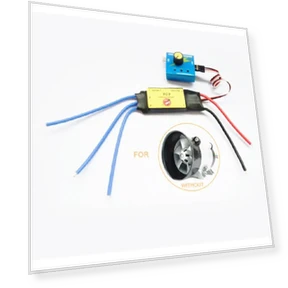 ESC Drive Controller — Control Units, feiyanautoparts