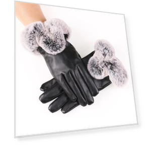 Winter Gloves with Touchscreen — Gloves, Got Now
