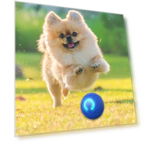 Automatic Moving Smart Ball Dog Toy — Automatic Launchers, SunshineTek