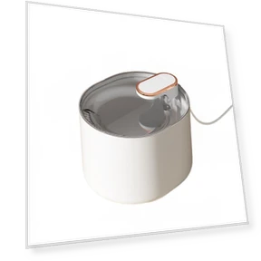 Automatic Water Fountain for Cats — Pet Hydration Solutions, Pawstrip