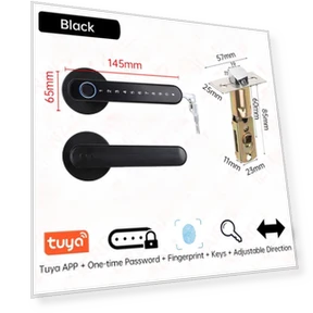 Biometric Door Lock with Security Function — Biometric Security, The Romantics