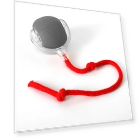 Interactive Cat Toy — Cat Playthings, Family Circle