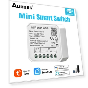 Mini Smart DIY Light Switch Module 2 Gang — Smart Home Modules, Tuya