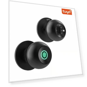 Smart Door Handle with Fingerprint Lock — Levers, The Romantics