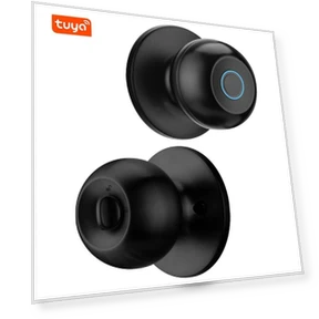 Smart Door Lock with Fingerprint — Locks, The Romantics