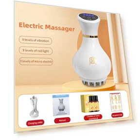 Smart Multifunctional Electric Meridian Brush — Back Relief Solutions, Crown Global